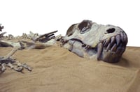 The dinosaur in the room – coping with change