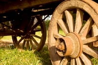 $14M haul for Wells' brokerage and wealth head David Carroll