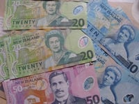 Tipped off by Madoff documentary, elderly investor uncovers New Zealand's biggest fraud ever