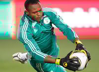 World Cup in South Africa: Two foreign stocks that could score