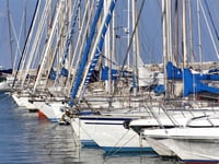 Revealed: Millionaires' top stock and favorite mutual fund