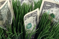 Alternative investments on the rise in retail world