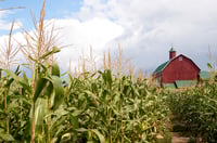 Commodity recovery seen as slump erases $99B