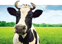 Agro giants horn in on money management biz