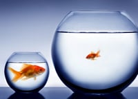 Most accurate analysts? Think small