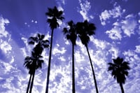 HighTower stakes its claim to Palm Desert wealthy