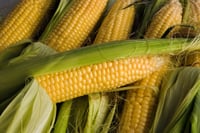 CFTC to enact Dodd-Frank rule aimed at retail-commodities trading