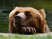 Barton Biggs sees little reason to be bearish