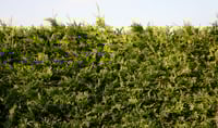 Hedge fund insider spills the beans: You're better off with Treasuries