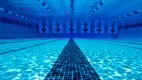 Is swimming phenom smart to turn down pool of cash?