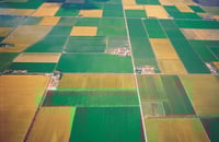 When it comes to risk profiles, don't trust client surveys