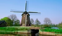 Dutch boy holds his own in prestigious economic contest