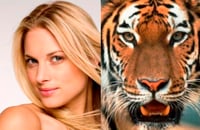 The lady or the tiger? Goldman likes stocks, Morgan Stanley senses danger