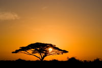 Why investors should be into Africa