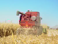 When looking to commodities, consider long/short funds, ETFs