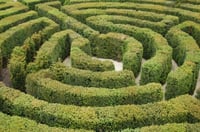 Why advisers should — or should not — invest in hedge funds