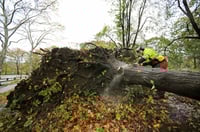 Business 'almost as usual' for advisers — despite Sandy's wallop