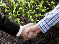 Apollo joins other private equity players in impact investing arena