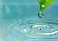 Merrill Lynch tells its advisers to get some water