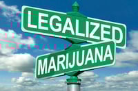 DOJ's 'cease fire' on state marijuana laws sparks fresh investment buzz