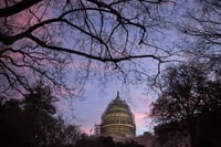 IBDs trumped by Obama on DOL fiduciary, but vow to fight on