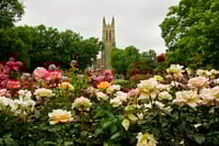 Duke, Johns Hopkins, UPenn and Vanderbilt latest schools under fire for excessive 403(b) fees