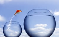 Don't count small-cap funds out because of looming interest rate hikes