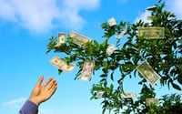 Live Oak Bank starts its own RIA