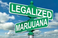 Advisers struggle with the highs and lows of marijuana investing