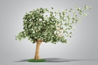 ESG options scarce in 401(k) plans