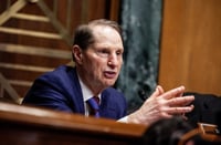 Top Democrat proposes revival of plan to eliminate capital gains loopholes