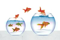 Salary model exploited by rivals