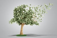 Vanguard social-investing error prompts funds to check controls
