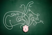 529 savings plans are not just for college anymore