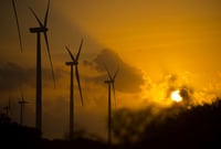 Millennials finally ready to invest sustainably