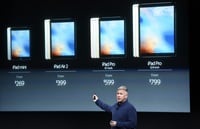 In Apple's universe, does one size fit all?