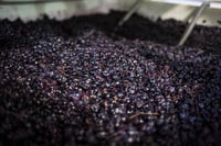 Investing in fine wine is producing ever-greater returns