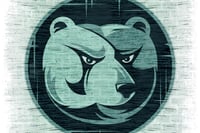 Bear market ahead? Here's what to expect