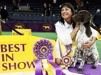 Owner of Westminster's winning dog to see big return on investment