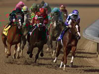 American Pharoah's Triple Crown chances aside, most racehorses consume more than they pay out