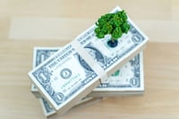 Are 401(k) plans in danger of not being green enough?
