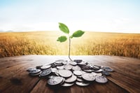 Northern Trust accounts for ESG factors now in the spotlight