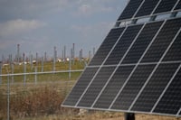 Dimensional’s ESG boss voices doubts over industry promises