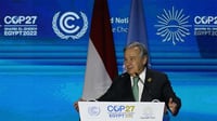 ‘Bogus’ net-zero pledges cover up fossil fuel expansion, UN says