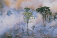 Climate change could cut asset values by more than half
