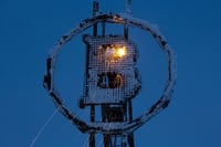 As FTX burns, advisers keep their cool