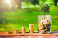 Do clients want to invest in sustainability? You're asking the wrong questions