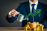 ESG investing for beginning investors 