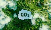 Carbon emissions reach record high despite renewables gains