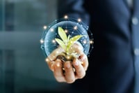 The workplace: A goldmine for advisors seeking new assets